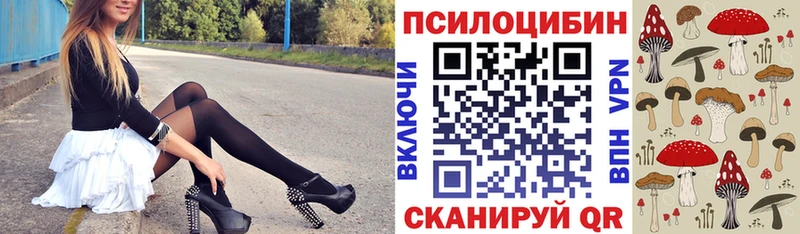 Псилоцибиновые грибы прущие грибы  Всеволожск 