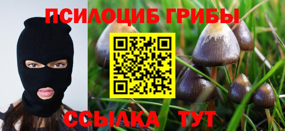Псилоцибиновые грибы прущие грибы  Вход с VPN  Всеволожск  Галлюциногенные грибы GOLDEN TEACHER 